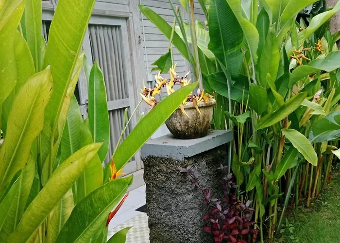 Green Villas Lembongan Villa *
